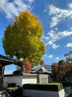 本覺寺(神奈川県)