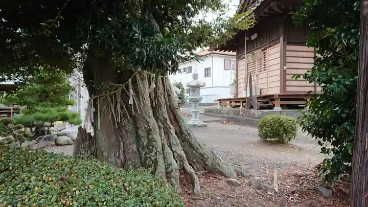 八坂神社(静岡県)
