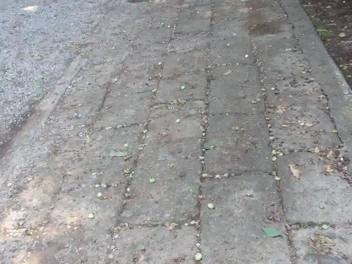 網戸神社(栃木県)