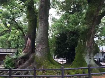 春日神社(福岡県)
