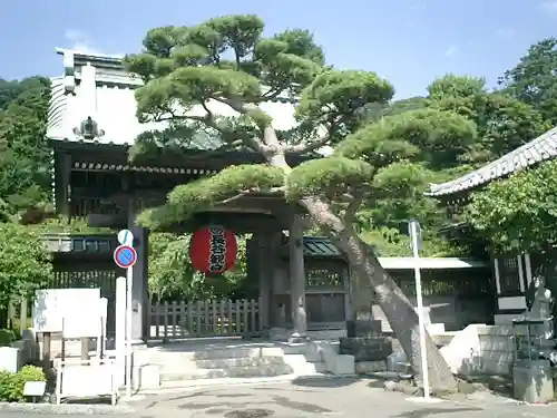 長谷寺の山門