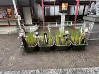 前川神社(埼玉県)