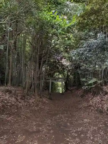 鳥見神社(千葉県)