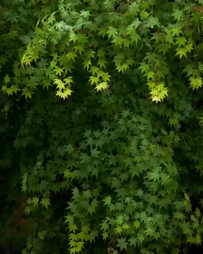 唐澤山神社(栃木県)