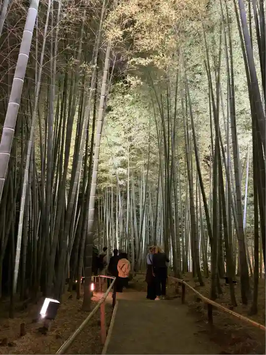 高台寺(高台寿聖禅寺・高臺寺)(京都府)