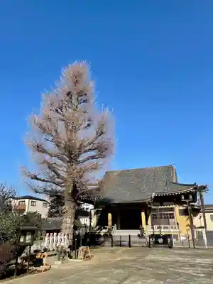 福王山 慈眼寺の本殿・本堂