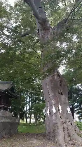 鳥海月山両所宮の自然