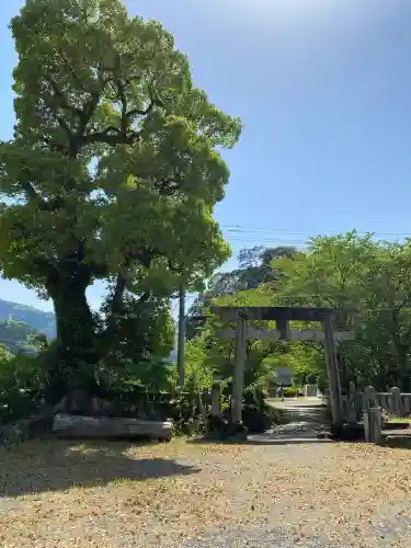 白人神社(徳島県)