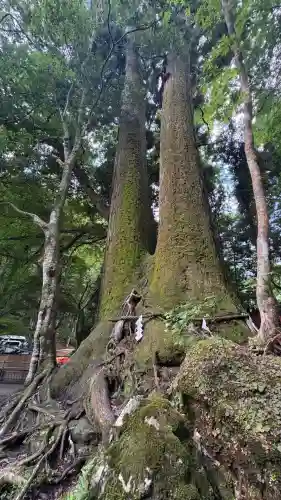 貴船神社奥宮(京都府)