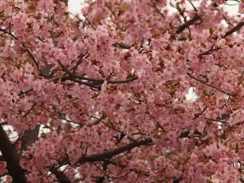 三毳不動尊(栃木県)