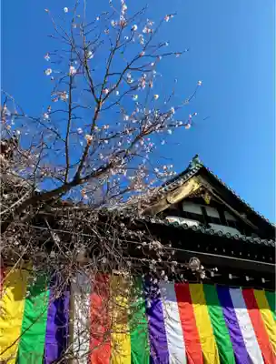 大坊本行寺のその他建物
