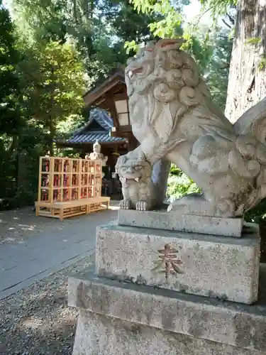 岩槻久伊豆神社の狛犬