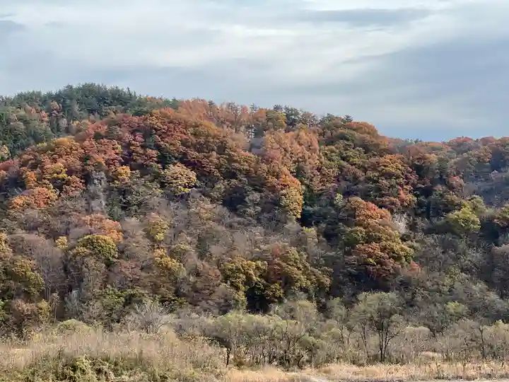 諏訪神社の自然
