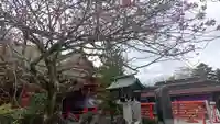 宮城縣護國神社の自然