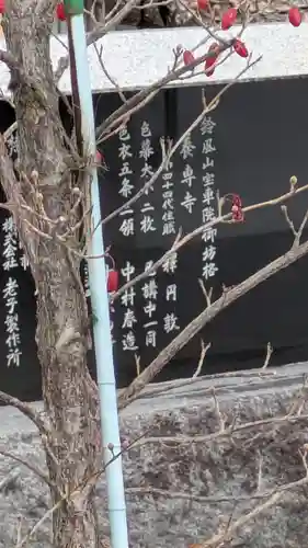 養専寺(滋賀県)