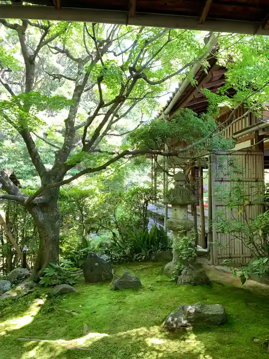 桂春院の庭園
