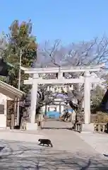 前玉神社の鳥居