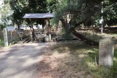 天橋立神社(京都府)