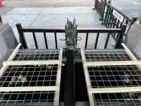 稲荷神社(東京都)