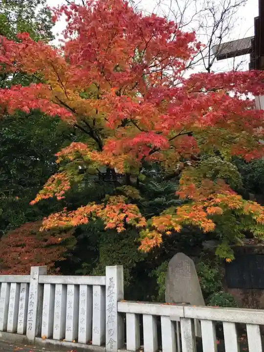 伊勢山皇大神宮の自然