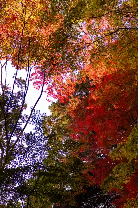 大矢田神社(岐阜県)