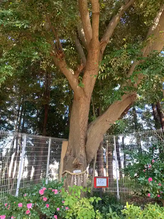 女郎濱稲荷(千葉県)