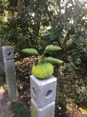 観蔵院 曼荼羅寺(東京都)