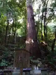 舟津神社の自然