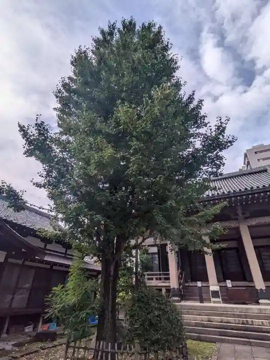 報恩寺(東京都)