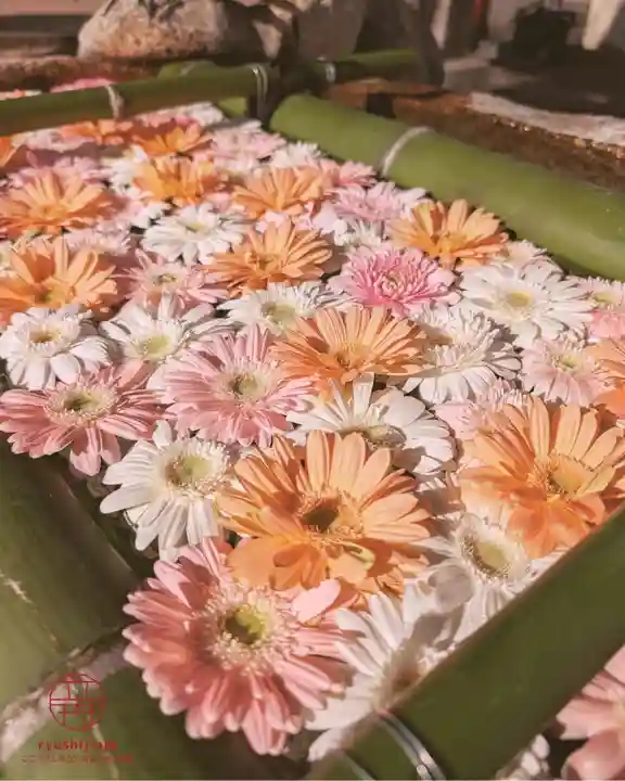 立志神社(滋賀県)