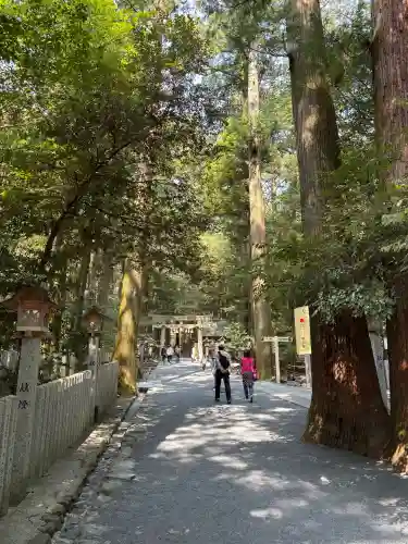 椿大神社の{uncategorized: "未分類", other: "その他", undefined: "問題あり", building: "その他建物", grave: "お墓", sacred_gate: "鳥居", guardian: "狛犬", statue: "像", buddha: "仏像", history: "歴史", nature: "自然", garden: "庭園", animal: "動物", pagoda: "塔", temizu: "手水舎", mountain_gate: "山門・神門", sanctuary: "本殿・本堂", subordinate: "末社・摂社", art: "芸術", scenery: "景色", jizo: "地蔵", ema: "絵馬", goshuin: "御朱印", omikuji: "おみくじ", items: "授与品その他", amulet: "お守り", goshuincho: "御朱印帳", eats: "食事", festival: "お祭り", votive_dance: "神楽", shichigosan: "七五三参", wedding: "結婚式", experience: "体験その他", initially: "初詣", around: "周辺", anti_infection: "感染症対策"}
