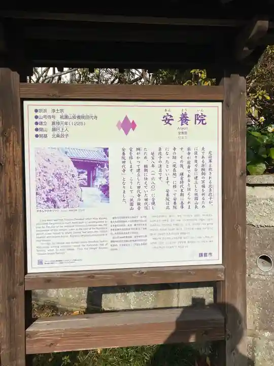 安養院 (田代寺)の歴史