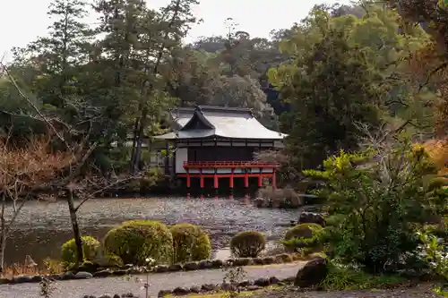 宇佐神宮(大分県)