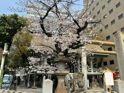 白神社の{uncategorized: "未分類", other: "その他", undefined: "問題あり", building: "その他建物", grave: "お墓", sacred_gate: "鳥居", guardian: "狛犬", statue: "像", buddha: "仏像", history: "歴史", nature: "自然", garden: "庭園", animal: "動物", pagoda: "塔", temizu: "手水舎", mountain_gate: "山門・神門", sanctuary: "本殿・本堂", subordinate: "末社・摂社", art: "芸術", scenery: "景色", jizo: "地蔵", ema: "絵馬", goshuin: "御朱印", omikuji: "おみくじ", items: "授与品その他", amulet: "お守り", goshuincho: "御朱印帳", eats: "食事", festival: "お祭り", votive_dance: "神楽", shichigosan: "七五三参", wedding: "結婚式", experience: "体験その他", initially: "初詣", around: "周辺", anti_infection: "感染症対策"}