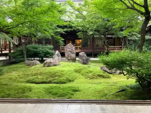 建仁寺（建仁禅寺）の庭園