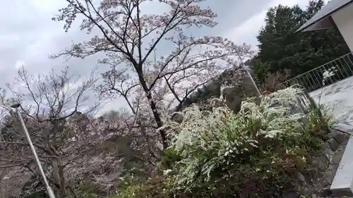 出雲大社 与謝分祠(京都府)