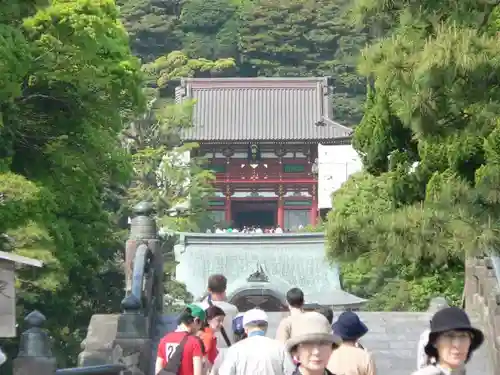 鶴岡八幡宮(神奈川県)