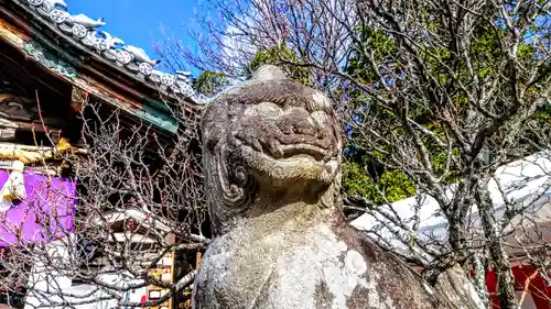 岡崎天満宮の狛犬