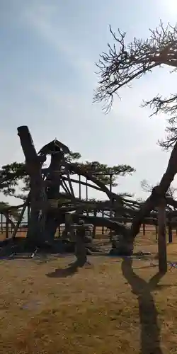 唐崎神社の庭園