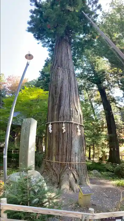 河口浅間神社(山梨県)