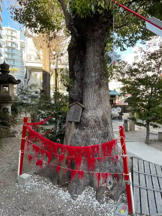 三輪神社(愛知県)