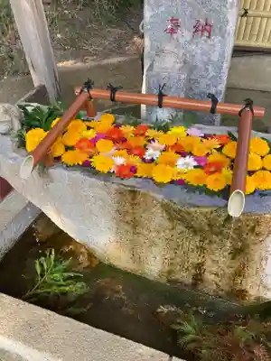 田間神社(千葉県)