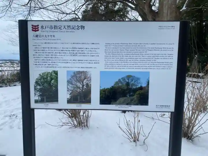 水戸八幡宮の{uncategorized: "未分類", other: "その他", undefined: "問題あり", building: "その他建物", grave: "お墓", sacred_gate: "鳥居", guardian: "狛犬", statue: "像", buddha: "仏像", history: "歴史", nature: "自然", garden: "庭園", animal: "動物", pagoda: "塔", temizu: "手水舎", mountain_gate: "山門・神門", sanctuary: "本殿・本堂", subordinate: "末社・摂社", art: "芸術", scenery: "景色", jizo: "地蔵", ema: "絵馬", goshuin: "御朱印", omikuji: "おみくじ", items: "授与品その他", amulet: "お守り", goshuincho: "御朱印帳", eats: "食事", festival: "お祭り", votive_dance: "神楽", shichigosan: "七五三参", wedding: "結婚式", experience: "体験その他", initially: "初詣", around: "周辺", anti_infection: "感染症対策"}