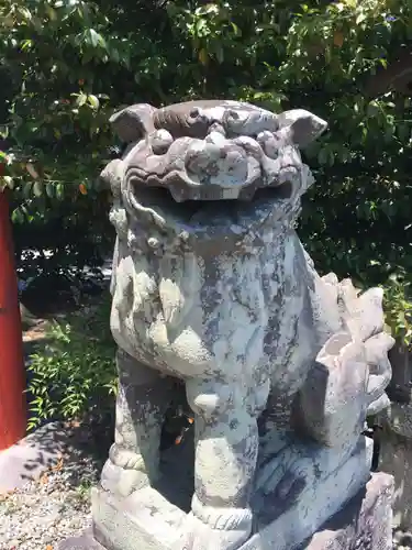 御霊神社本宮の狛犬