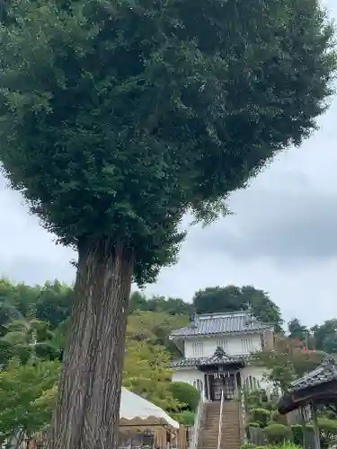 真浄寺(茨城県)