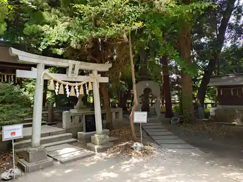 甲斐國一宮 浅間神社(山梨県)