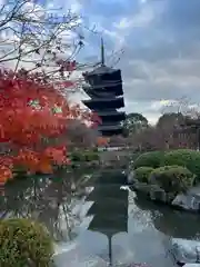 東寺（教王護国寺）(京都府)