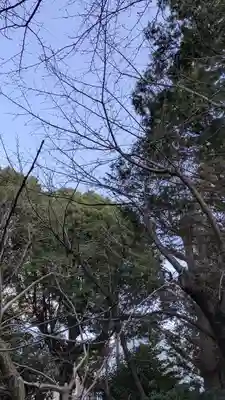 磯良神社（疣水神社）(大阪府)