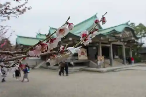 豊國神社の景色