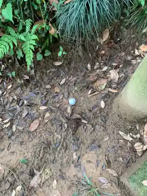 八幡神社(千葉県)